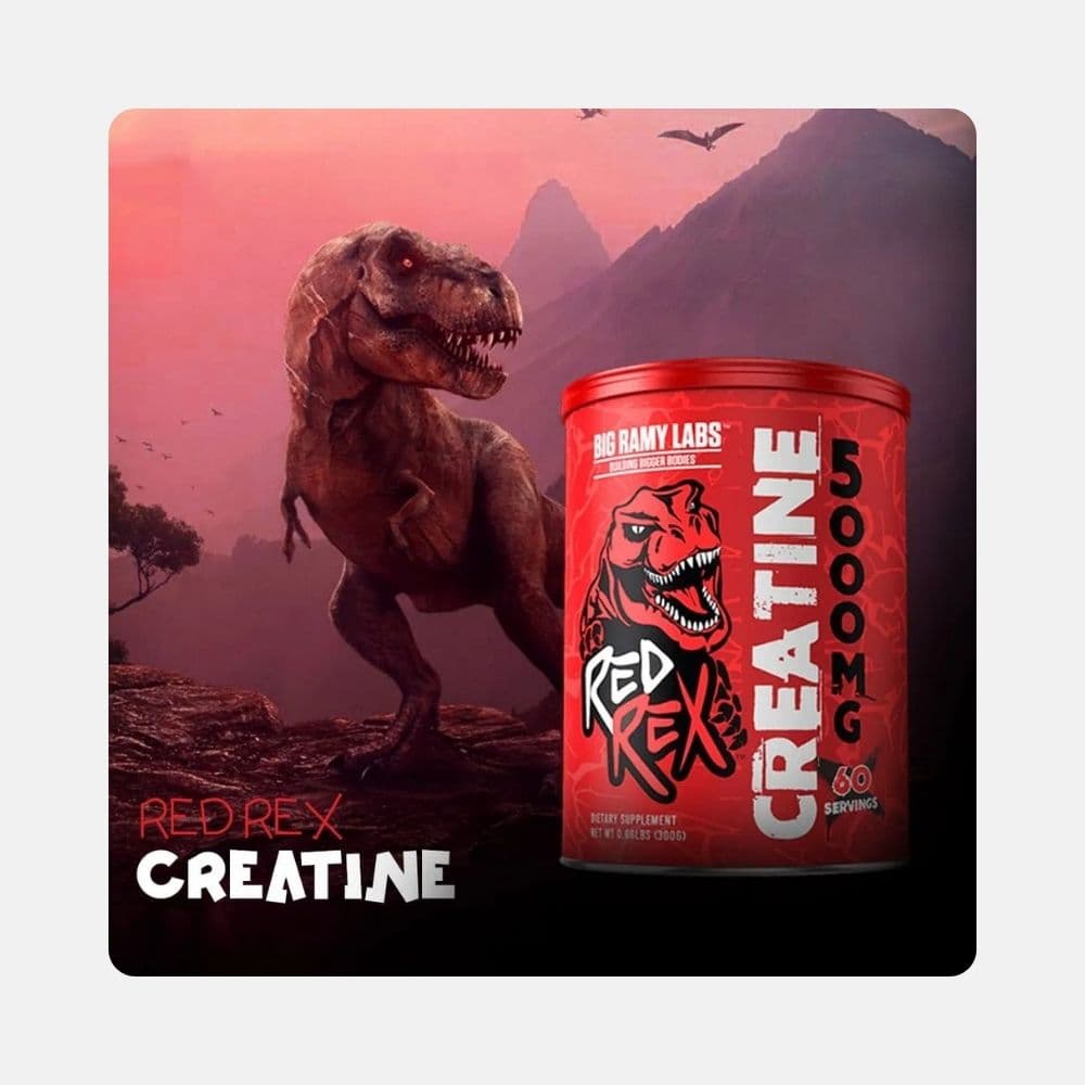 Red Rex Micronized Creatine Monohydrate Powder 300g 2
