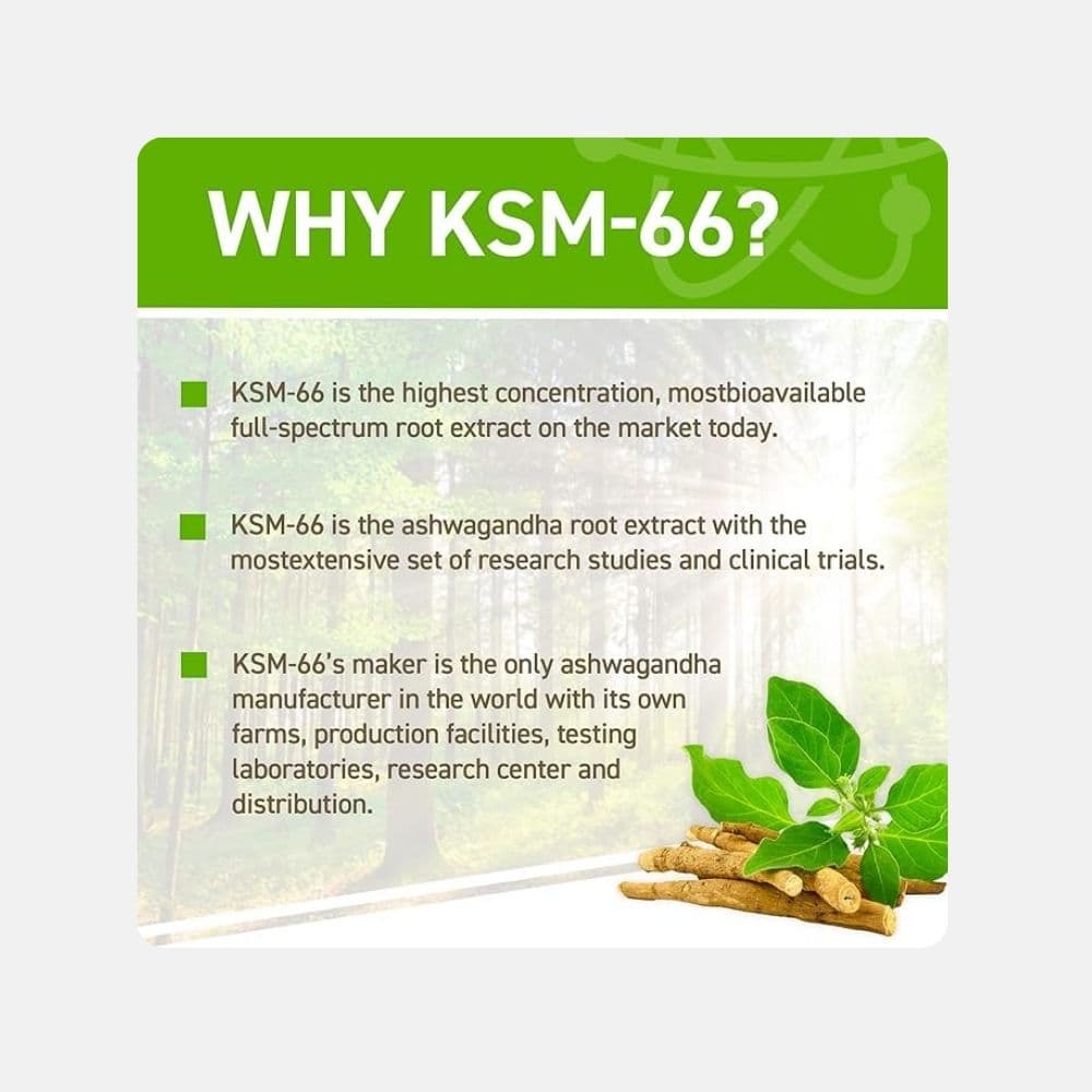 Applied Nutrition KSM-66 Ashwagandha Capsules (60 Count) 2